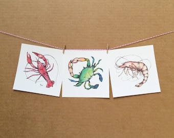 Watercolor/Ink-Animals-Crustaceans