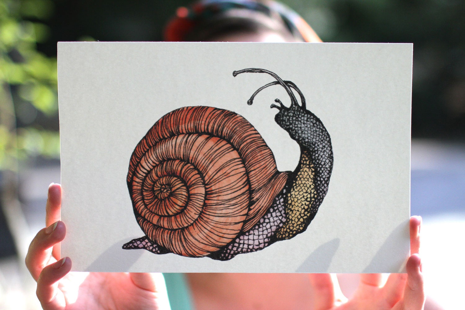 Snail Ink Watercolor/ink-animal-insects-snail - Etsy