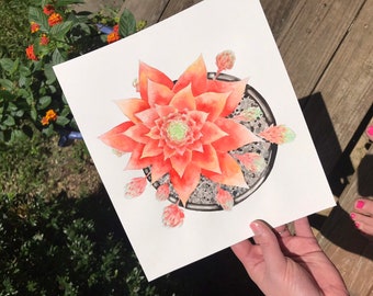 Orange Succulent painting
