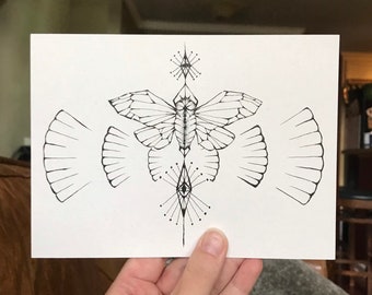 Cicada Rhythm