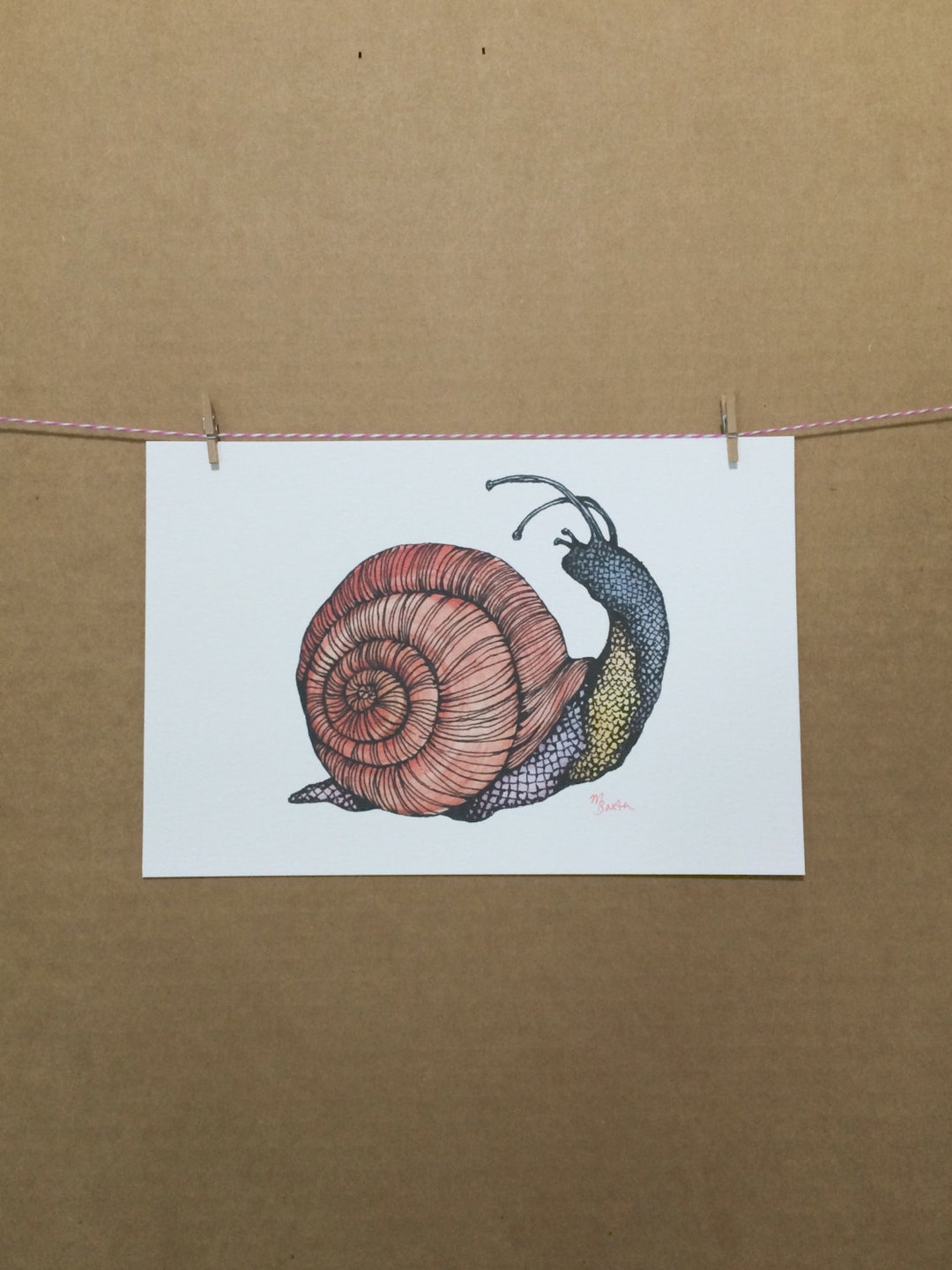 Snail Ink Watercolor/ink-animal-insects-snail - Etsy