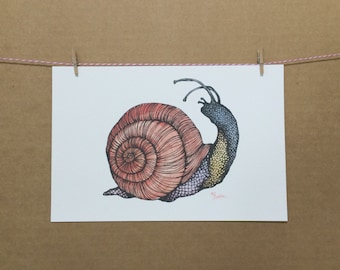 Watercolor/Ink-Animal-Insects-Snail