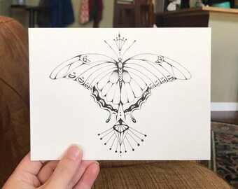 Spicebush Swallowtail Butterfly