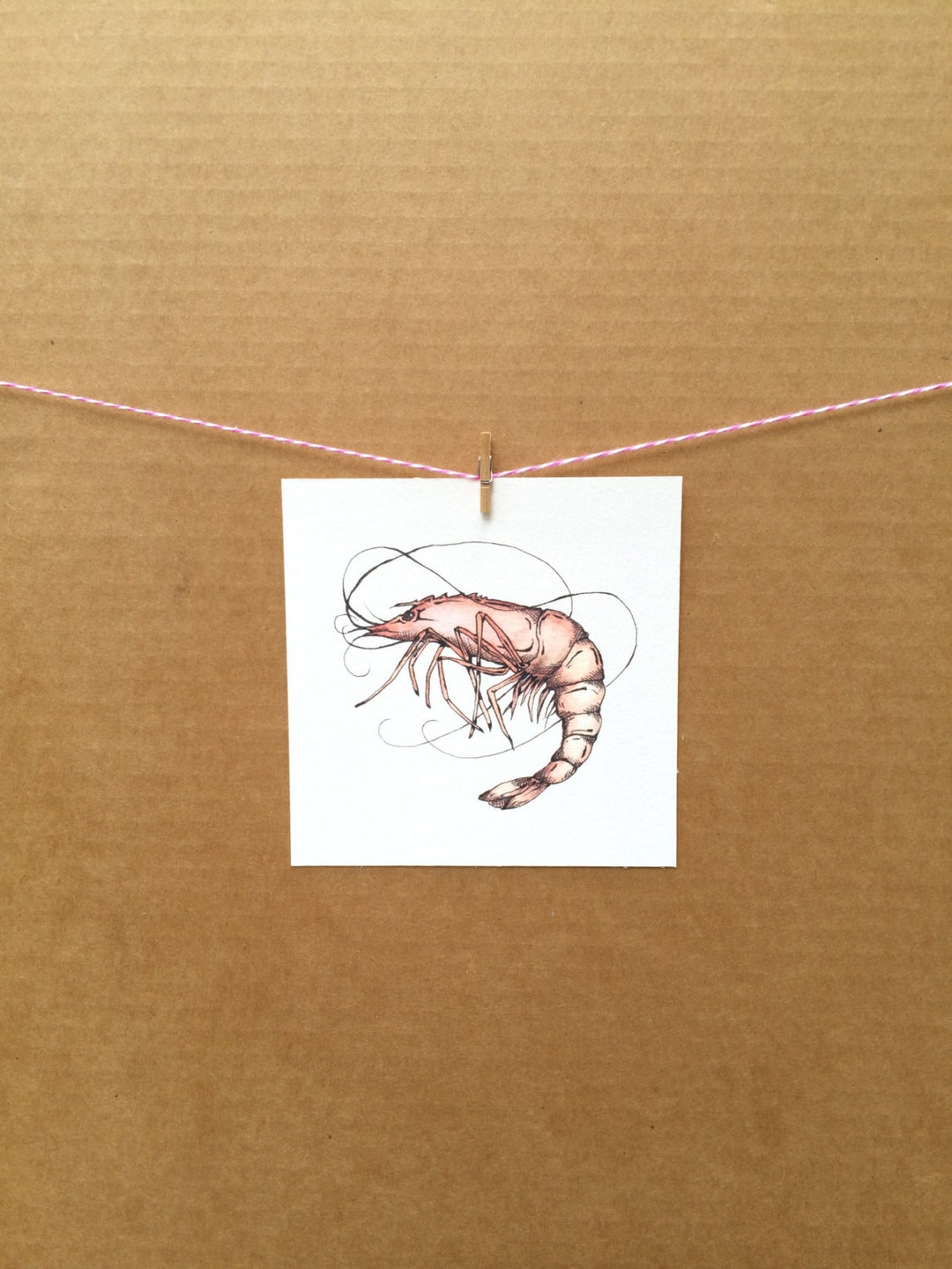 Watercolor/ink-animal-crustacean-shrimp - Etsy
