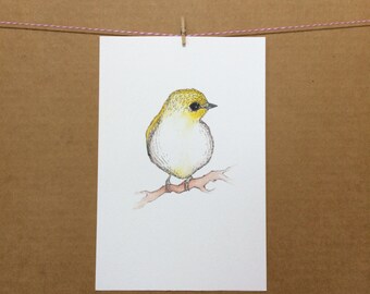 Watercolor/Ink-Animal-Birdie