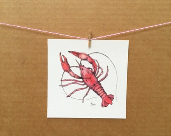 Watercolor/Ink-Animal-Crustacean-Crawfish