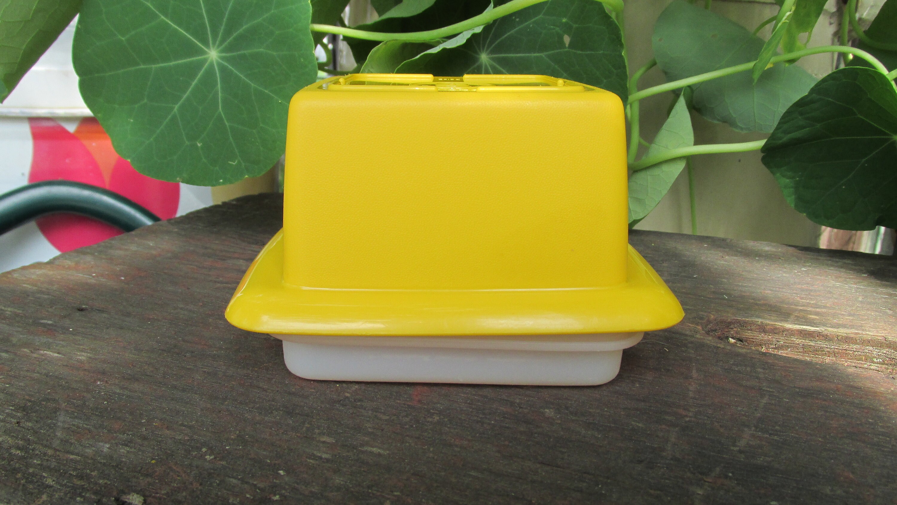 Vintage Tupperware Butter Dish w Lid Half Pound Yellow Etsy