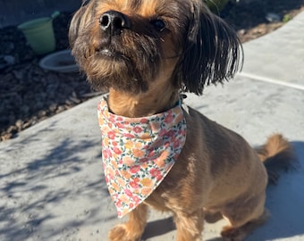 Reversible Fabric Dog Bandana – Green Gingham and Spring Flowers - Pet Clothing