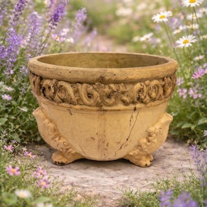 May include: A weathered, beige-colored planter with ornate, raised detailing around the rim. The planter has a wide, open top and rests on three decorative feet. The background features a garden with lavender and white flowers.