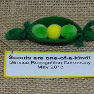 Set of Ten 10 Two Peas in a Pod One of a Kind Scout SWAP or Craft Kits image 1