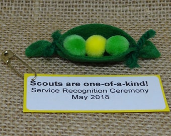 May include: A green felt pea pod with three felt peas inside. The peas are green, yellow, and green. A gold safety pin is attached to a yellow card with the text "Scouts are one-of-a-kind! Service Recognition Ceremony May 2018".