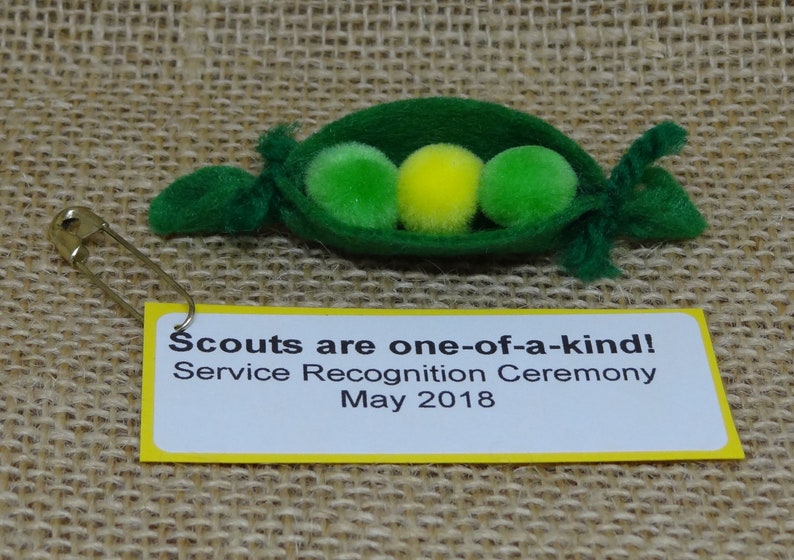 Set of Ten 10 Two Peas in a Pod One of a Kind Scout SWAP or Craft Kits image 1