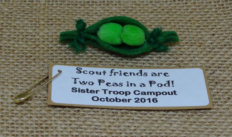 Set of Ten 10 Two Peas in a Pod One of a Kind Scout SWAP or Craft Kits image 2