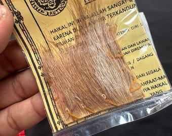 Spiritual Khodam Tiger Skin Haikal, Protection, Charm, Wealth Attraction