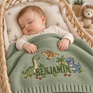 Può includere: Una coperta per neonati in maglia color verde salvia con dinosauri ricamati, tra cui un dinosauro dal collo lungo, uno pterosauro e un T-Rex, con il nome BENJAMIN cucito al centro. La coperta presenta un motivo a maglia testurizzato e un bordo a coste.