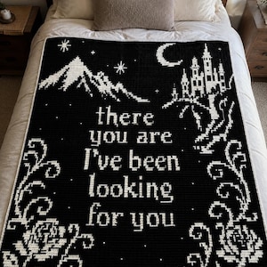 May include: A black and white crochet blanket featuring a central mountain range, a crescent moon, a castle, and floral vines. The text "there you are I've been looking for you" is centered in white lettering against the black background.