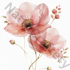 9 Abstract Pink Flower Watercolor Clipart Bundle, Blush & Dusty Rose Flowers, High Quality JPG, Instant Download, Watercolor Floral Clip Art