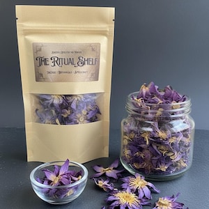 Lótus Azul Orgânico | Pétalas de Chá de Ervas Secas para Sonhos, Meditação, Rituais, Relaxamento e Prática Espiritual