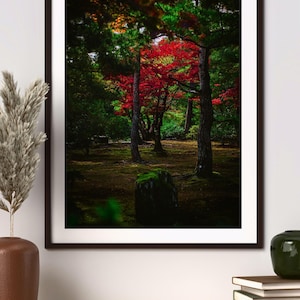 Japanischer Wald im Herbst | Stimmungsvoller Naturfotodruck | Rot Ahorn Bäume Wand Kunst | Stille Zen Landschaftsfotografie