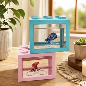 Könnte beinhalten: Zwei rechteckige Aquarien in Form von Bausteinen, eines hellblau und eines hellrosa, die übereinander gestapelt sind. Jedes Aquarium enthält einen Kampffisch, einer blau-violett und der andere rot-weiß gefärbt.