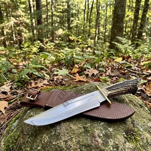 May include: A fixed-blade knife with a polished steel blade, a brass crossguard, and a textured dark brown antler handle. The knife rests on a brown leather sheath featuring a metal buckle and visible stitching along the edges.