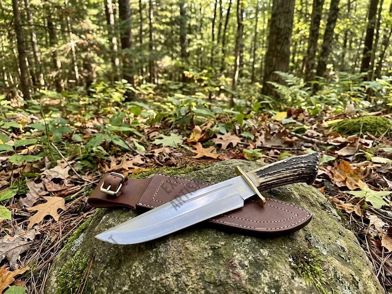 May include: A fixed-blade knife with a polished steel blade, a brass crossguard, and a textured dark brown antler handle. The knife rests on a brown leather sheath featuring a metal buckle and visible stitching along the edges.