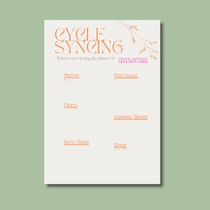 May include: A white paper with the text "CYCLE SYNCING" in orange, with the subtitle "What to eat during the phase of OVULATION". The paper is divided into sections for protein, fruits, nuts/seeds, vegetables, legumes/grains, and other.