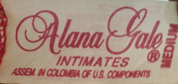 Alana Gale INTIMATES- 1980's High Waist Candy Red… - image 8