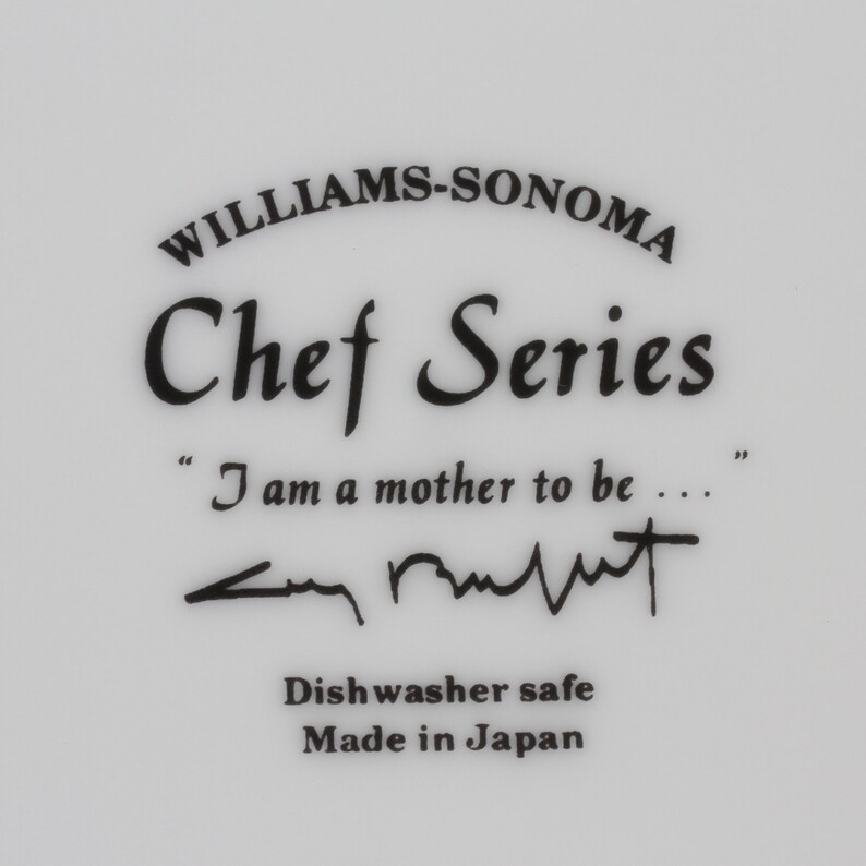 Williams Sonoma Guy Buffet Chef Series Collection Plates Set of 5 Vintage Ceramic Collectible Dining Serving Entertaining image 7