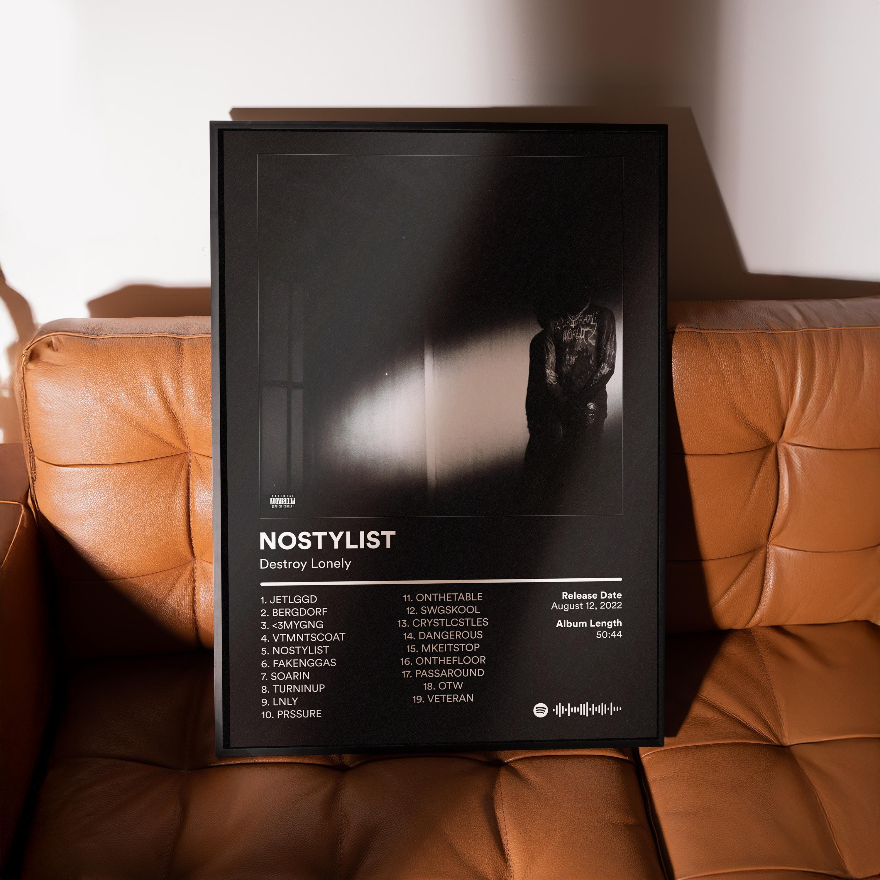 【額縁付き】 NO STYLIST Destroy Lonely A2ポスター Destroy Lonely NO STYLIST ポスター – 米国およびEUへの送料無料