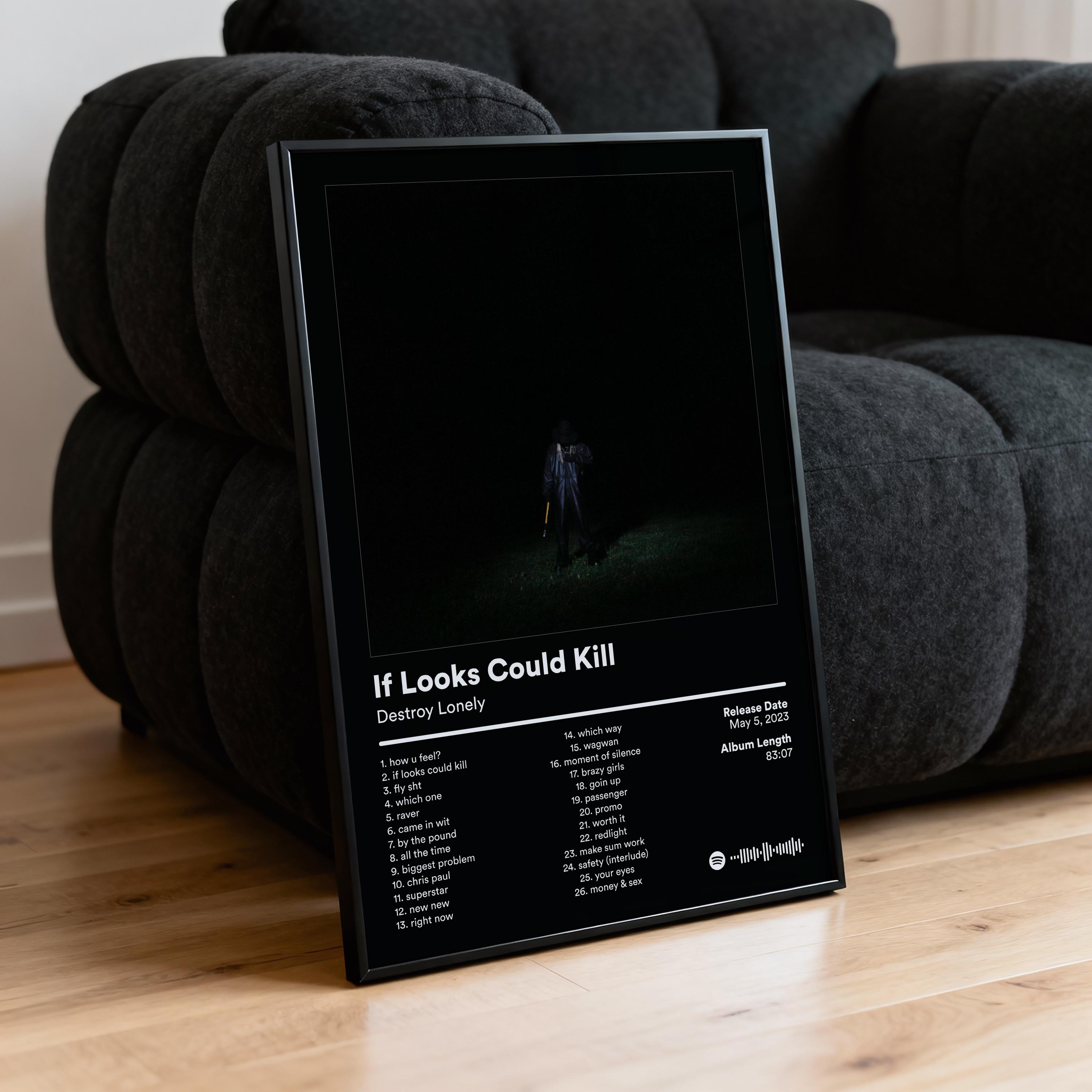 Destroy Lonely Album Poster - Etsy