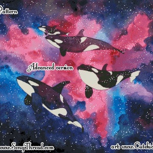 PATTERN Space Orcas digital PDF counted cross stitch geeky beginner advanced marine life stars