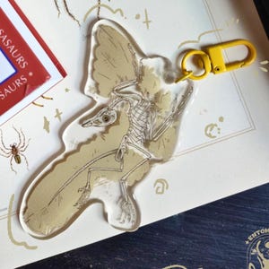 May include: A clear acrylic keychain featuring a pterosaur skeleton design with a yellow clasp. The keychain is set against a background with illustrations of spiders and text from a book about pterosaurs and mosasaurs.