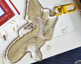 Llavero de Archaeopteryx