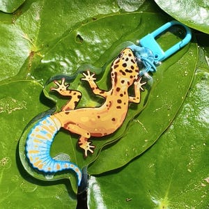 Può includere: Un portachiavi in acrilico trasparente con un design di geco con corpo giallo, macchie nere e coda blu e bianca. Il portachiavi ha una chiusura blu e poggia su foglie di ninfea verdi in acqua.