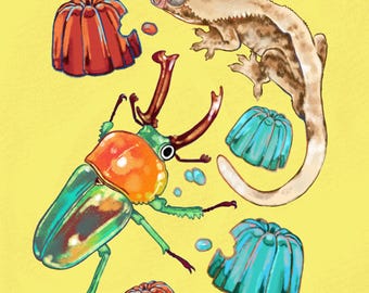 Escarabajo gecko gelatinoso | Fondo de pantalla