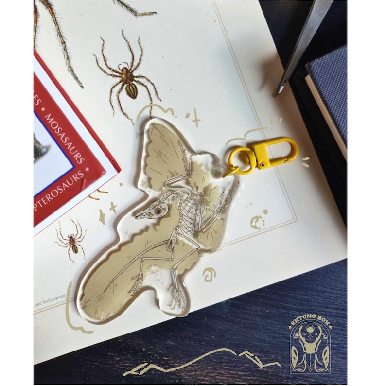 May include: A clear acrylic keychain featuring a pterosaur skeleton design with a yellow clasp. The keychain is set against a background with illustrations of spiders and text from a book about pterosaurs and mosasaurs.