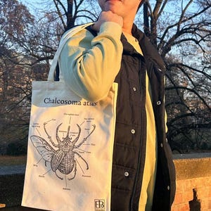 Può includere: Borsa tote color crema con un'illustrazione dettagliata di uno scarabeo con parti anatomiche etichettate. Il testo "Chalcocoma atlas" è stampato in alto. La borsa ha una forma rettangolare con due manici.