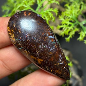 May include: A polished, teardrop-shaped gemstone with a dark brown base color. The stone features intricate patterns of orange, yellow, blue, and iridescent colors. The gemstone is held against a blurred green background.
