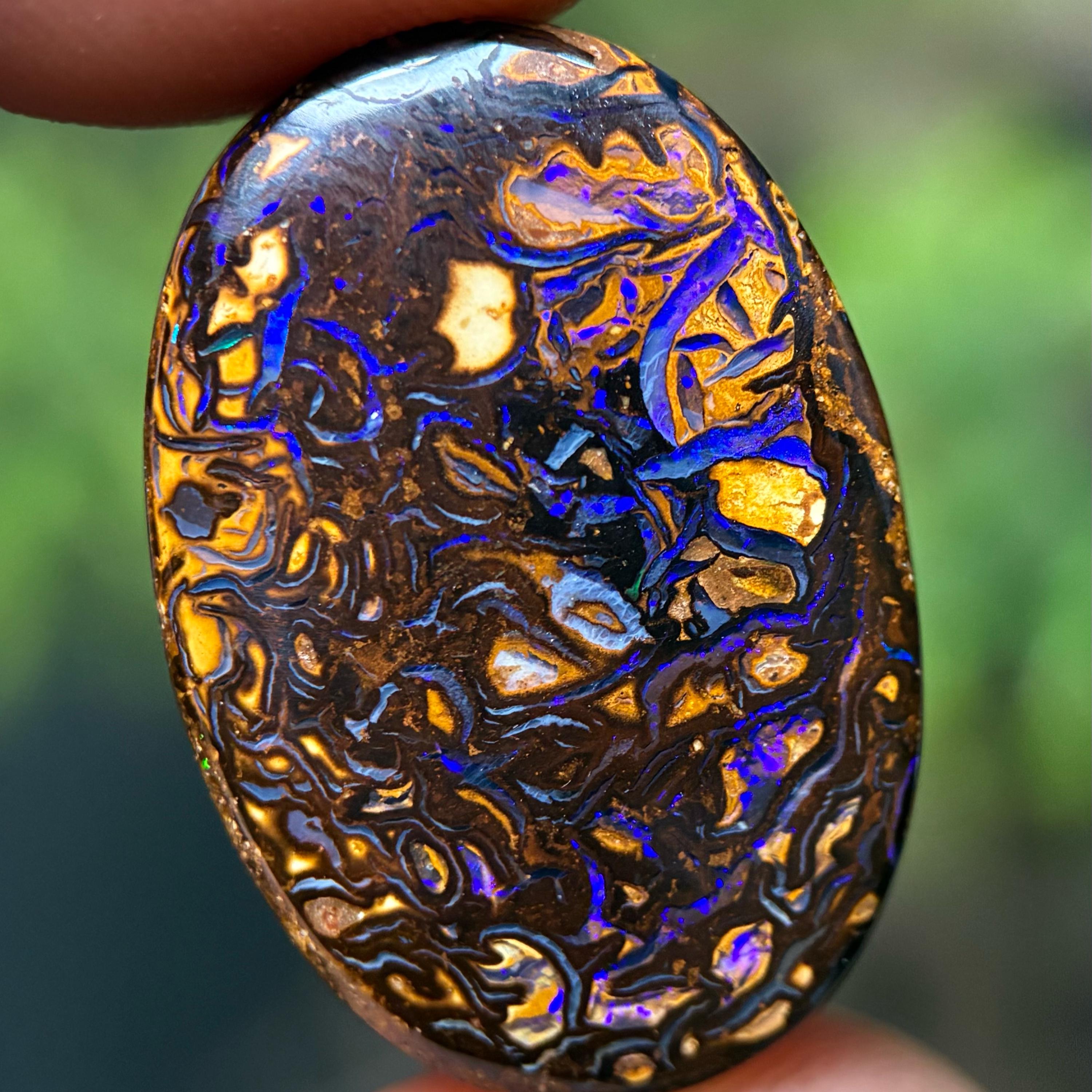 Opale Boulder Black Matrix Australienne - Pierre Naturelle 31.3cts, 27.7x17.9mm, Neuf Avec Étiquettes