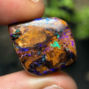 Fantastisk träopal australisk träersättningsstensopal 17,05 ct
