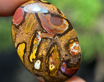 Przystępny cenowo australijski opal koroit boulder 32,70 ct