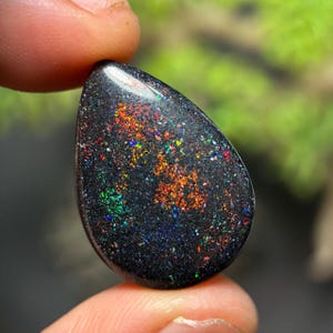 May include: A polished black opal gemstone with a teardrop shape. The surface is speckled with vibrant colors including red, orange, yellow, green, and blue. The gemstone is held between two fingers.
