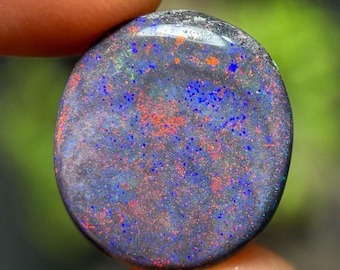 May include: A polished, oval-shaped opal gemstone. The stone has a dark base color with vibrant speckles of blue and red throughout. The opal is held between two fingers, with a blurred green background.