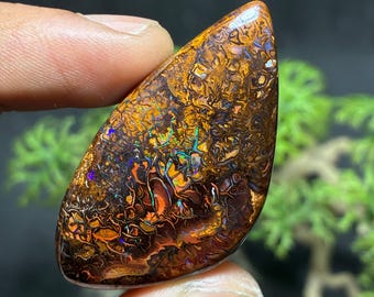 May include: A polished, oval-shaped gemstone with a rich, earthy color palette. The stone features intricate patterns of brown, orange, and gold, with flashes of blue and green. The gemstone is held between two fingers.