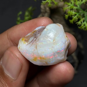 Op de afbeelding: Een ruwe, ongeslepen opaal edelsteen. De opaal heeft een melkachtige witte basiskleur met flitsen van rood, oranje en blauw iriserend. De steen heeft een ruwe, natuurlijke textuur en een klein gebied met bruine kleuring.