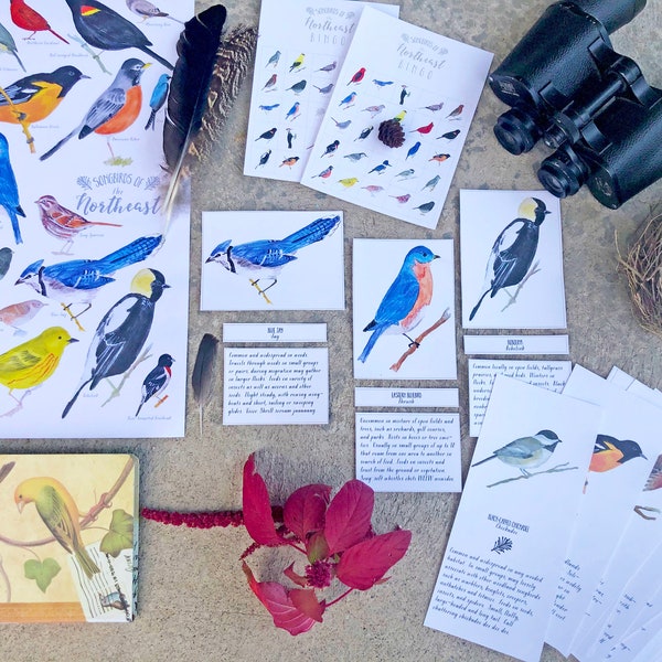 Bird Unit Bundle - Watercolor Homeschool Bird Study - Montessori, Education, Waldorf, Teaching - Instant Download, Printable