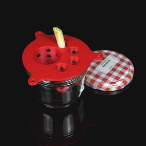 Op de afbeelding: Een rood plastic deksel voor kruidenkieming met meerdere ronde openingen zit op een doorzichtige glazen pot. Een enkele groene stengel van een bosui steekt uit een van de gaten. Naast de pot ligt een metalen deksel met een rood-wit ruitpatroon.
