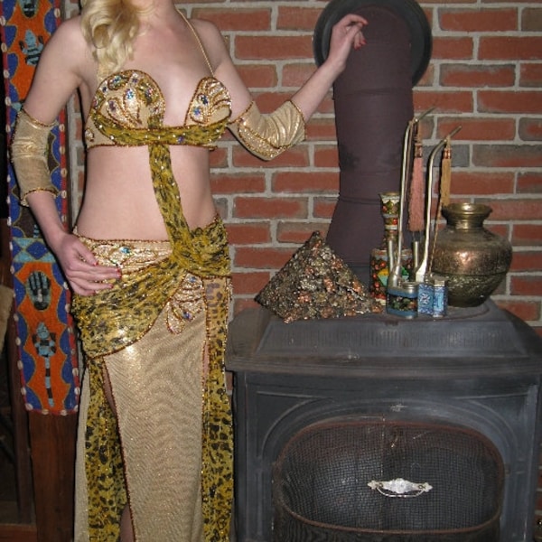 CABARET-Cheetah-GOLD-Lycra-LEOPARD-Chiffon-Flapper-Professional-Belly Dance Costume