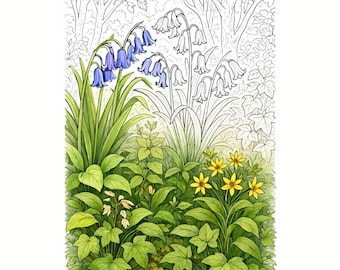 Kleurplaat boslandschap Bluebell voor volwassenen | Botanische bosillustratie | Ontspannende natuurkleuring | Digitale download